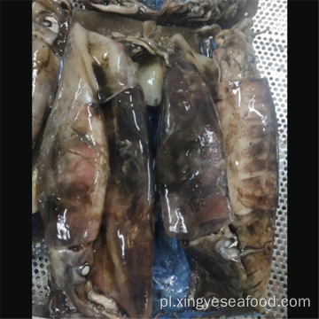 Mrożony wR Squid dosidicus gigas kalmar